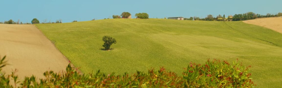 Cinematic Anamorphic View of Rolling Farmland Near Ancona