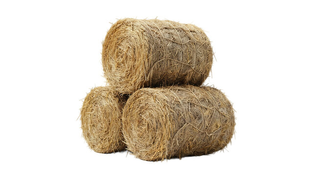 Stack of round farm hay bales isolated on transparent background for agriculture design