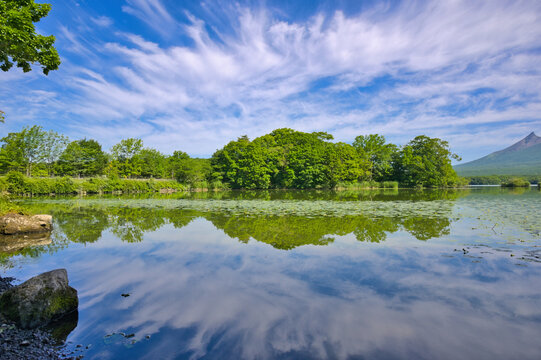 大沼公園の夏空
