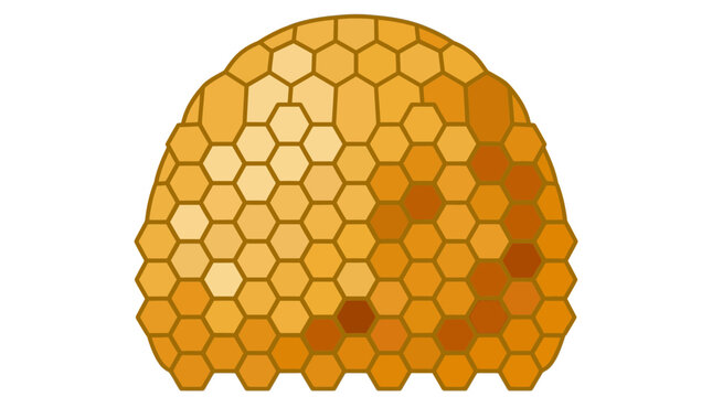 Abstract Hexagonal Hive Shape