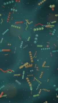 Gut microbiome bacteria ecosystem rod coccus and spiral microbes dividing in mucus seamless loop in subtle teal tones vertical 9:16