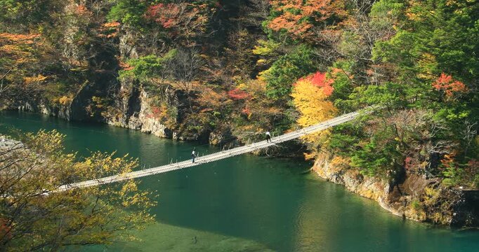紅葉の寸又峡の夢の吊橋