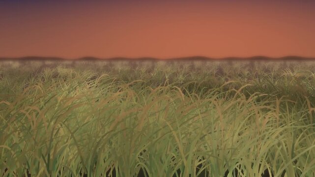 Green rice paddy field rippling with waves of wind across the stalks seamless loop in subtle rose tones