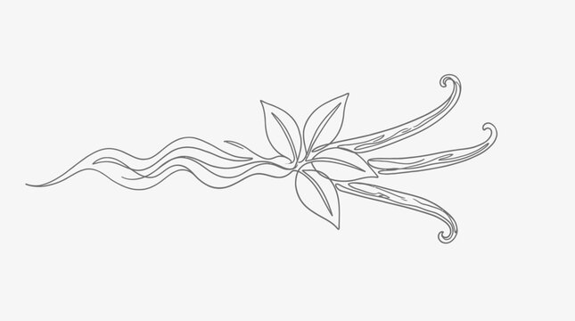 Elegant vanilla pods and flower line art illustration with subtle aroma waves, perfect for culinary, cosmetic, or decorative designs
