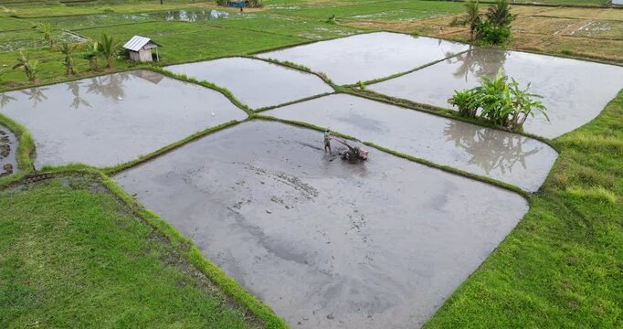 Balinese farmer tilling wet soil in flooded rice paddies with a power tiller, preparing the land for rice cultivation, traditional agricultural methods on Bali island, Indonesia. Aerial drone shot