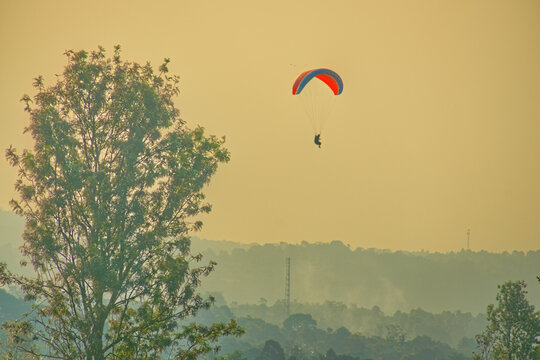 Solo Paraglider Soaring High in the Sky with Tree Silhouette and Soft Golden Sunset Light