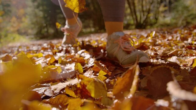 CLOSE UP, DOF, LOW ANGLE, SLOW MOTION, LENS FLARE: Woman walks through forest carpeted with autumn leaves. Her shoes step through dry foliage as leaves lift into the air, glowing in warm sunlight.