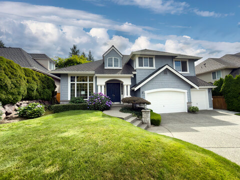 residential home during summer with blooming purple hydrangea flowers and plush bushes and lawn yard