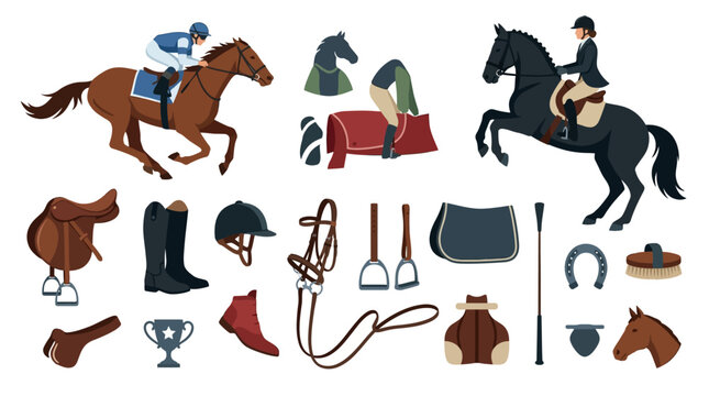 A collection of flat vector illustrations depicts various equestrian elements including horses, riders, helmets, saddles, and riding gear on a white background.