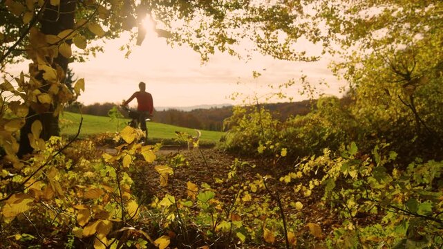 LENS FLARE, SLOW MOTION: Female biker passes through vibrant forest as two dogs follow along the trail. Yellow leaves in the foreground and glowing countryside scenery give an autumn outdoor feel.