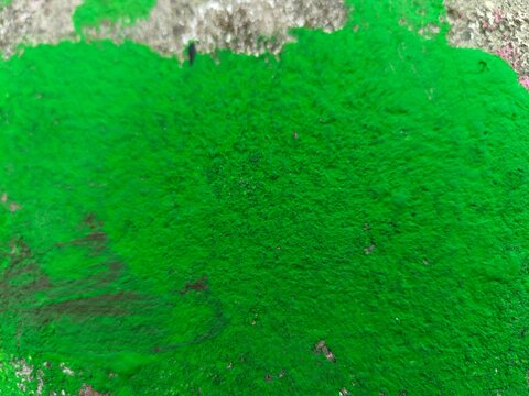 Vivid emerald green paint texture, bold abstract background