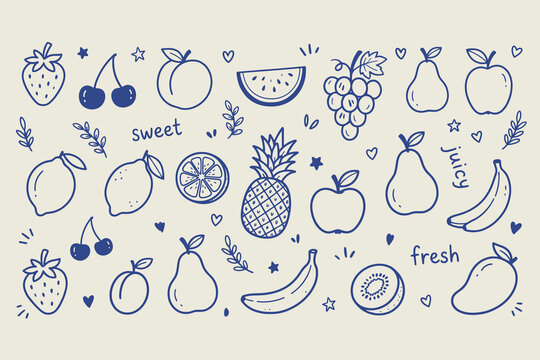 Handdrawn doodle fruit collection set