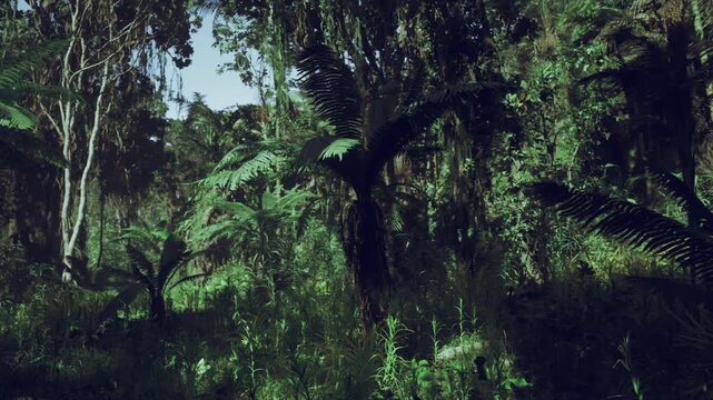 Sunlit fern understory with deep shadows and textured leaf litter, vines and damp trail suggest active exploration, high humidity and layered foliage create