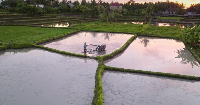 Balinese farmer preparing a traditional rice paddy field using a power tiller, cultivating the soil for planting new crops with a beautiful morning light reflecting in the water of the terraces