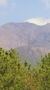 Sakurajima Volcano Island landscape, Japan, Kagoshima prefecture, Kyushu island region, island volcano and bay, Yunohira Observation Deck, ferry trip from Kagoshima, Kirishima-Kinkowan National Park 