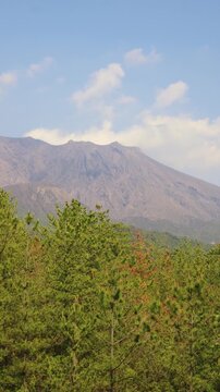 Sakurajima Volcano Island landscape, Japan, Kagoshima prefecture, Kyushu island region, island volcano and bay, Yunohira Observation Deck, ferry trip from Kagoshima, Kirishima-Kinkowan National Park 