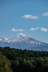 Fototapeta premium 秋の晴れた日の初冠雪の山頂と緑の森林 大雪山 