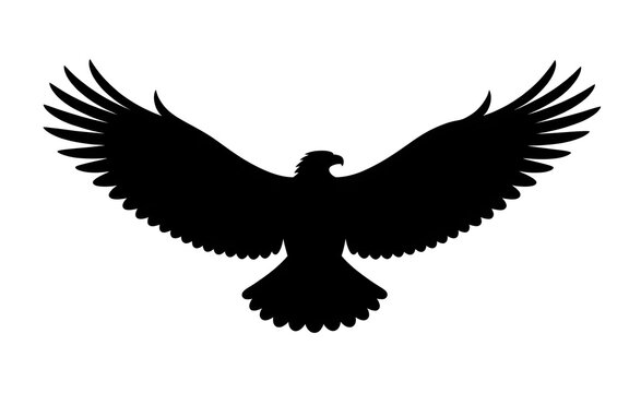 eagle with wings