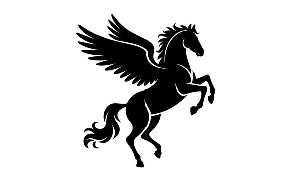 black horse vector illustration