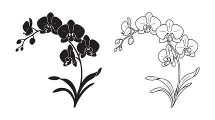 Fototapeta premium orchid branch vector icon silhouette with outline art, a floral design element silhouette silhouette with outline art vector icon