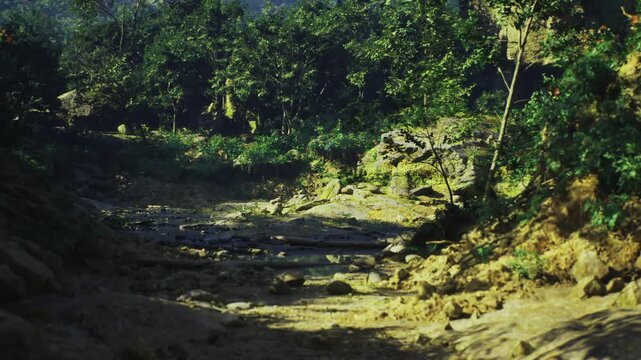 Eroded rocky channel in Indonesia forest showing sediment scouring, exposed roots and scarped banks, scattered boulders and deep gullies, moody light,
