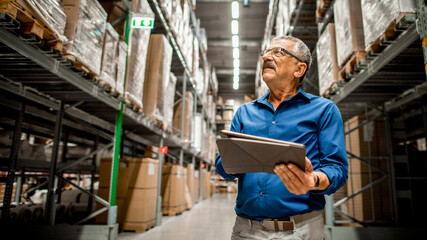 Fototapeta premium Warehouse manager inspecting inventory photo