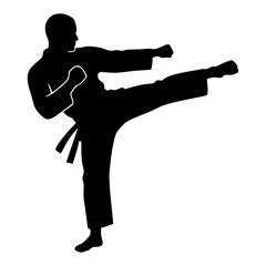 Black silhouette of a karate kick © Kuldi