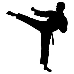 Black silhouette of a karate kick © Kuldi