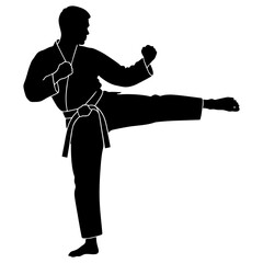 Black silhouette of a karate kick © Kuldi
