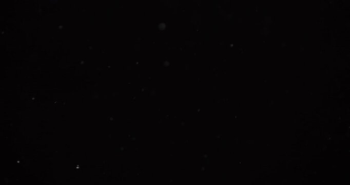 Dust Particles Swirling in Darkness 4K Loop
