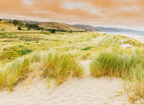 Cloud Covered Sunrise Over The Sand Dunes of Limantour Beach With The Sea Cliffs of Santa Maria Beach in The Distance, Pt. Reyes National Seashore, California, USA