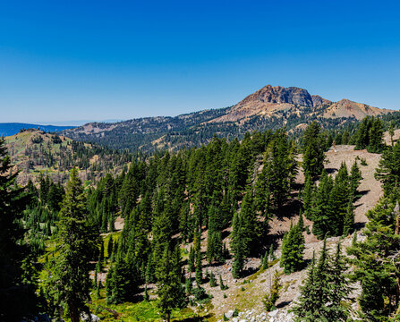 Conifer Forest and Brokeoff Mountain on The Bumpass Hell Trail, Lassen Volcanic National Park, California, USA