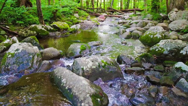 Le Conte Creek Flowing Over Moss Covered Boulders Along The Rainbow Falls Trail, Great Smoky Mountains National Park, Tennessee, USA