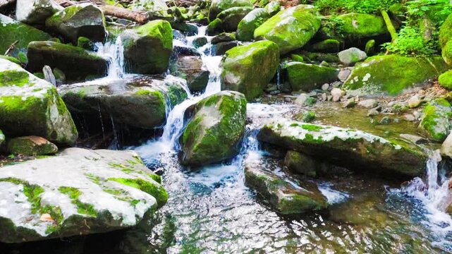Le Conte Creek Flowing Over Moss Covered Boulders Along The Rainbow Falls Trail, Great Smoky Mountains National Park, Tennessee, USA