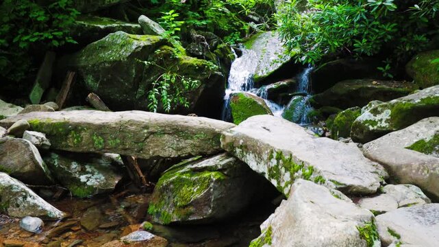 Stone Hikers Bridge Over Le Conte Creek Along The Rainbow Falls Trail, Great Smoky Mountains National Park, Tennessee, USA