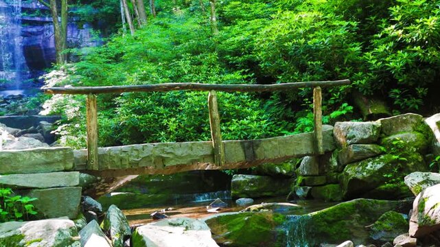 Wooden Footbridge Over Le Conte Creek at Lower Rainbow Falls, Great Smoky Mountains National Park, Tennessee, USA