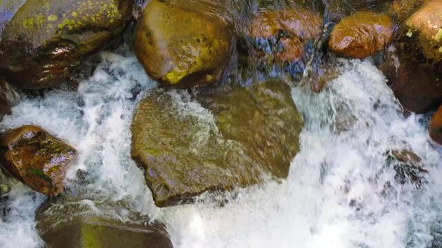 Porter Creek Rushing Over Multi Colored Rocks, Great Smoky Mountains National Park, Tennessee, USA