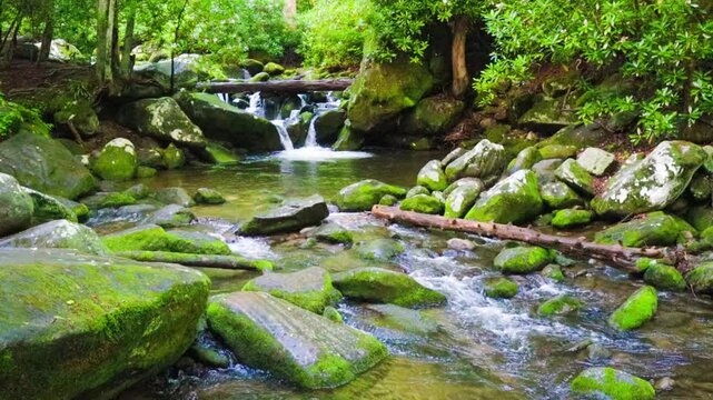 Small Waterfall and Moss Covered Boulders in Roaring Fork Stream, Roaring Fork Nature Trail, Great Smoky Mountains National Park, Tennessee, USA