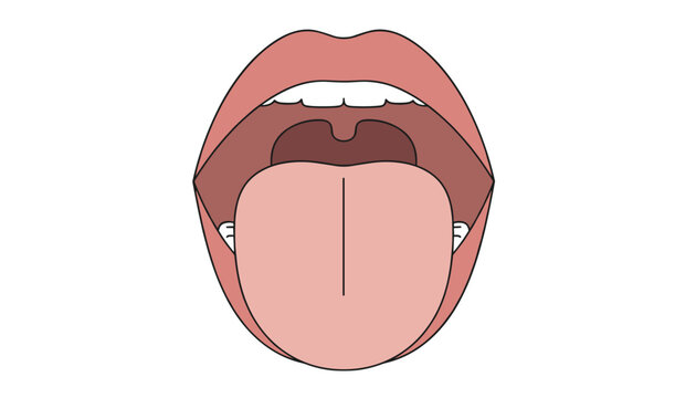 Medical anatomy illustration of an open human mouth showing the tongue, throat, and uvula on a white background.