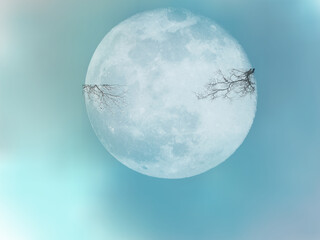 Blue Full Moon Illustration © Ali