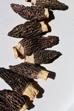 Dried morel mushrooms on white background.