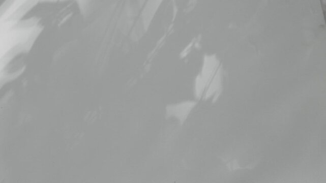 Footage of the studio interior wall: shadows moving of leaves rustling in the sunlight cast upon the white exterior wall, creating natural shadows against a white background. Summer concept.	
