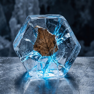 Dry brown autumn leaf frozen inside a clear hexagonal block of cracked ice