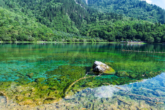 The scenery of Panda Sea in Jiuzhaigou Valley Scenic Area, Aba County, Aba Prefecture, Sichuan Province, China