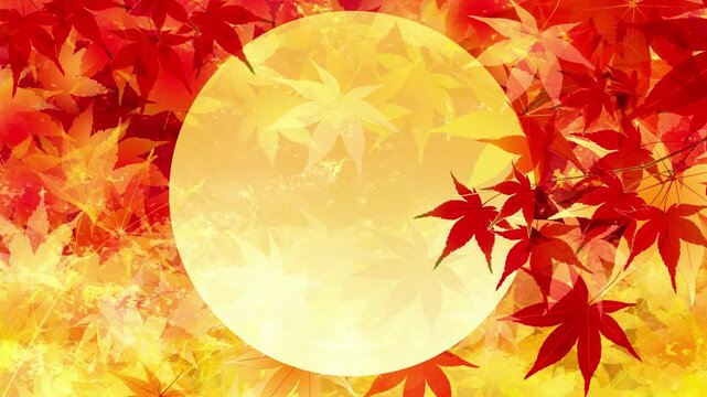 Full Moon Among Autumn Maple Leaves 4K