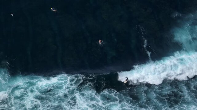 Aerial view highlighting active surfers paddling and catching waves over the dark blue ocean and shallow reef, creating white foam at the Bukit Peninsula surf spot. Travel and enjoy Bali island