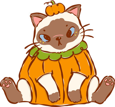 Halloween Siamese Cat Wearing a Pumpkin Costume Cartoon Hand Drawn