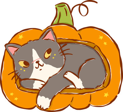 Cute Halloween Black Cat Inside Pumpkin Cartoon Hand Drawn