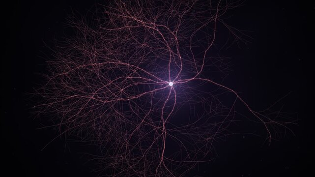 Lichtenberg Electrical Discharge Fractal Branching Reveal