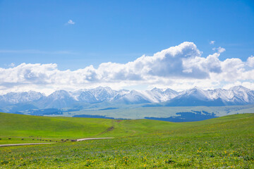 Fototapeta premium Vast Green Meadows and Snowy Peaks at Kalajun Grassland, Xinjiang, 2022